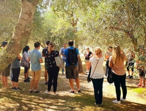 group